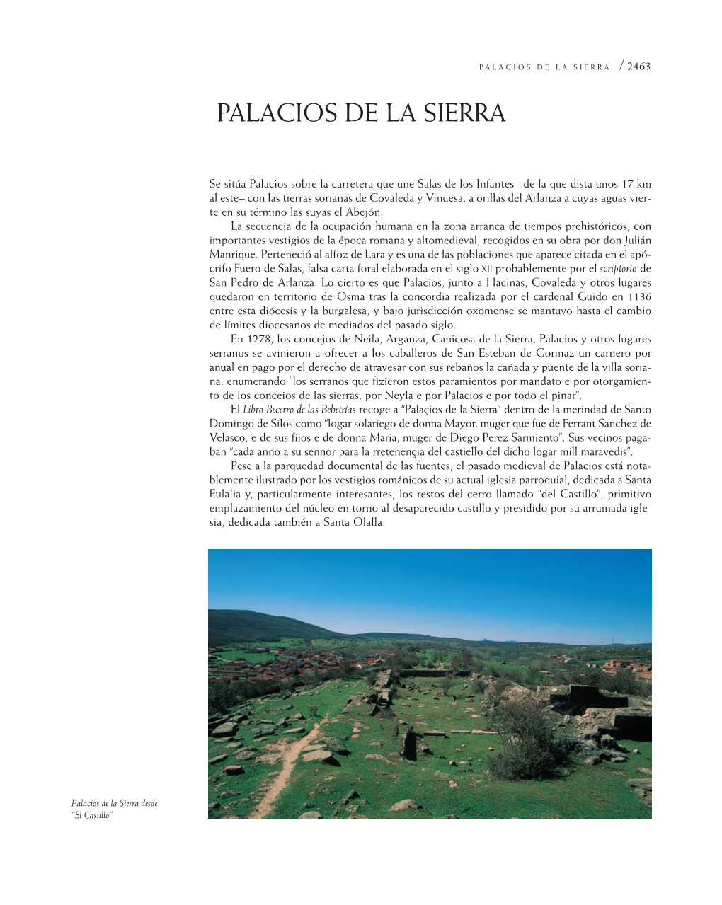 Palacios De La Sierra 5/10/09 12:29 Página 2463