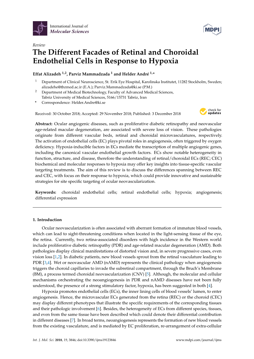 The Different Facades of Retinal and Choroidal Endothelial Cells in Response to Hypoxia