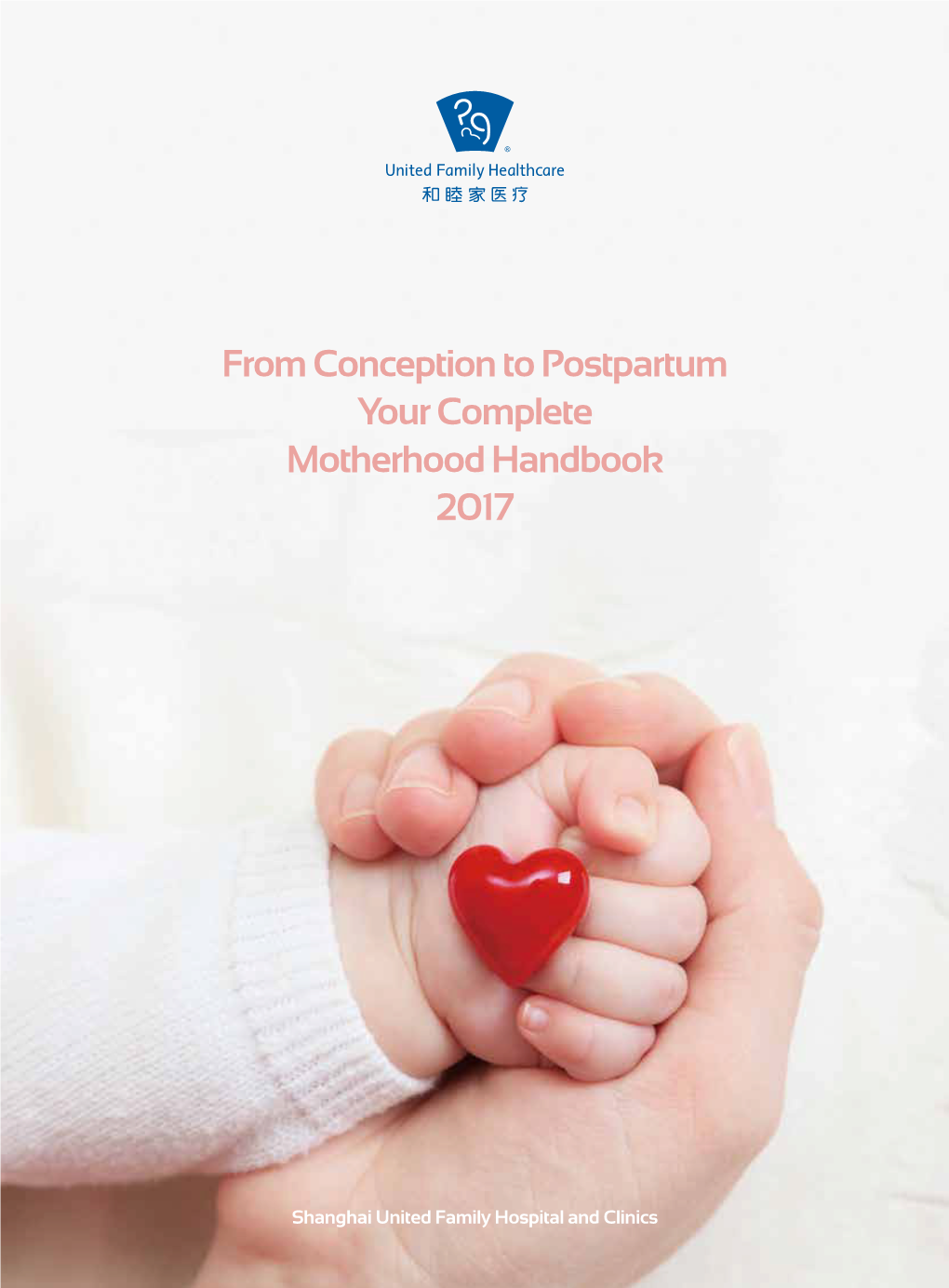 From Conception to Postpartum Your Complete Motherhood Handbook 2017