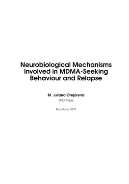 Neurobiological Mechanisms Involved in MDMA Seeking Behavior And