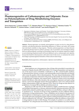Pharmacogenetics of Carbamazepine and Valproate: Focus on Polymorphisms of Drug Metabolizing Enzymes and Transporters
