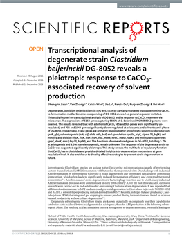 Transcriptional Analysis of Degenerate Strain Clostridium Beijerinckii DG