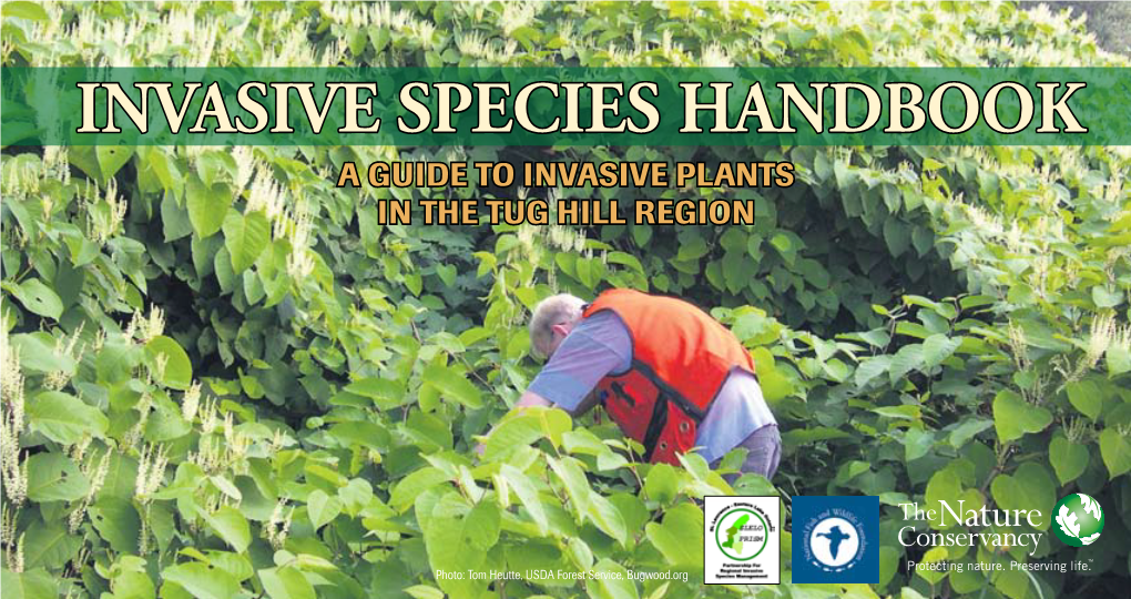 Invasive Species Handbook A Guide To Invasive Plants In The Tug Hill Region DocsLib