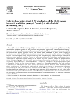 Undersized and Underestimated: 3D Visualization of the Mediterranean Interstitial Acochlidian Gastropod Pontohedyle Milaschewitchii (Kowalevsky, 1901) Katharina M