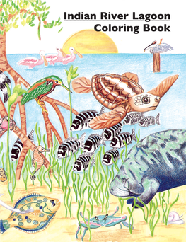 Indian River Lagoon Coloring Book