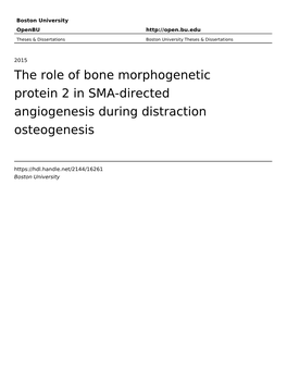 The Role of Bone Morphogenetic Protein 2 in SMA-Directed Angiogenesis During Distraction Osteogenesis