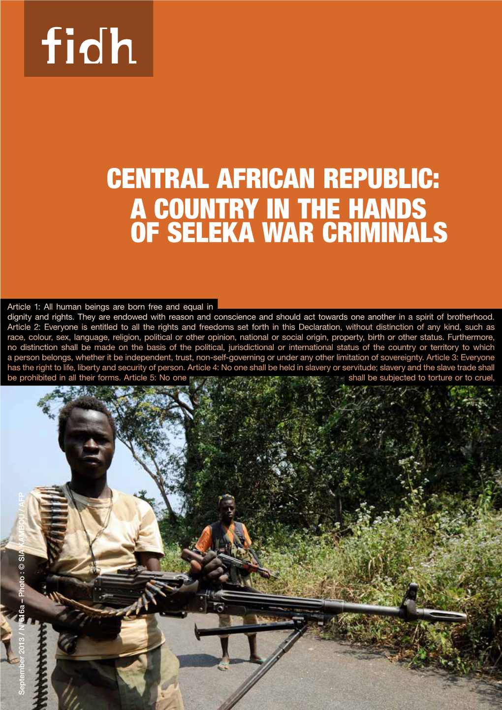 Central African Republic: a Country in the Hands of Seleka War Criminals