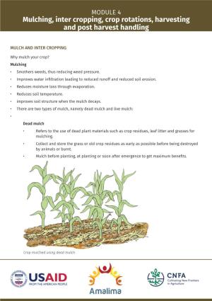 Mulching, Inter Cropping, Crop Rotations, Harvesting and Post Harvest Handling