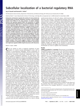 Subcellular Localization of a Bacterial Regulatory RNA