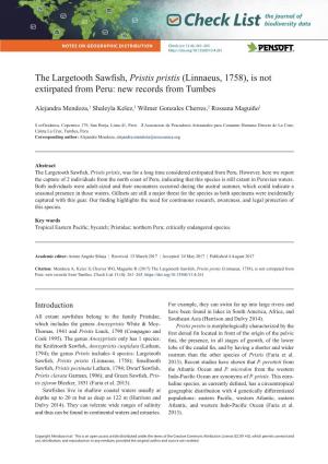 The Largetooth Sawfish, Pristis Pristis (Linnaeus, 1758), Is Not Extirpated from Peru: New Records from Tumbes