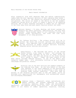 Basic Branches of the United States Army Basic Branch Information After