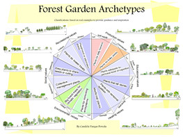 Forest Garden Archetypes