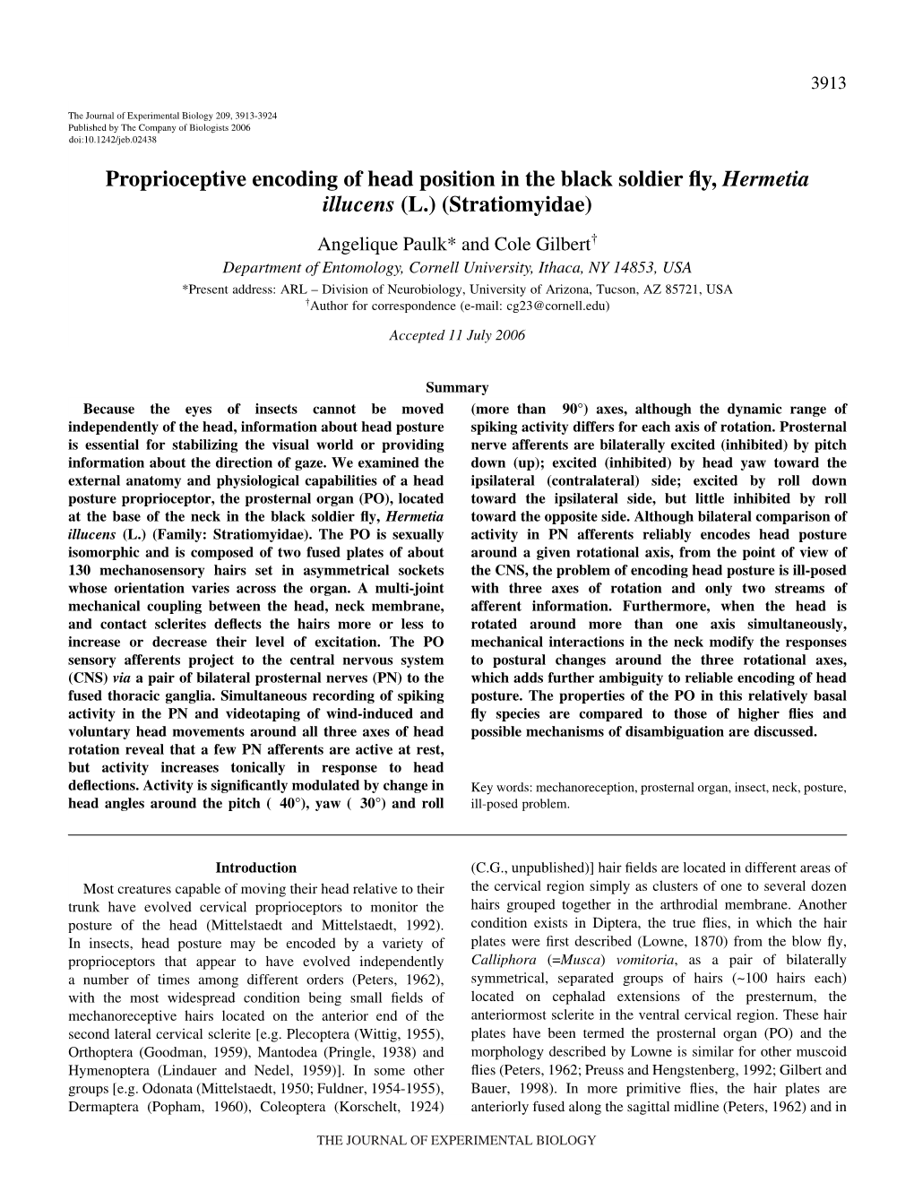 Proprioceptive Encoding of Head Position in the Black Soldier Fly