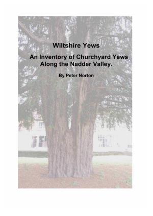 Wiltshire Yews an Inventory of Churchyard Yews Along the Nadder Valley