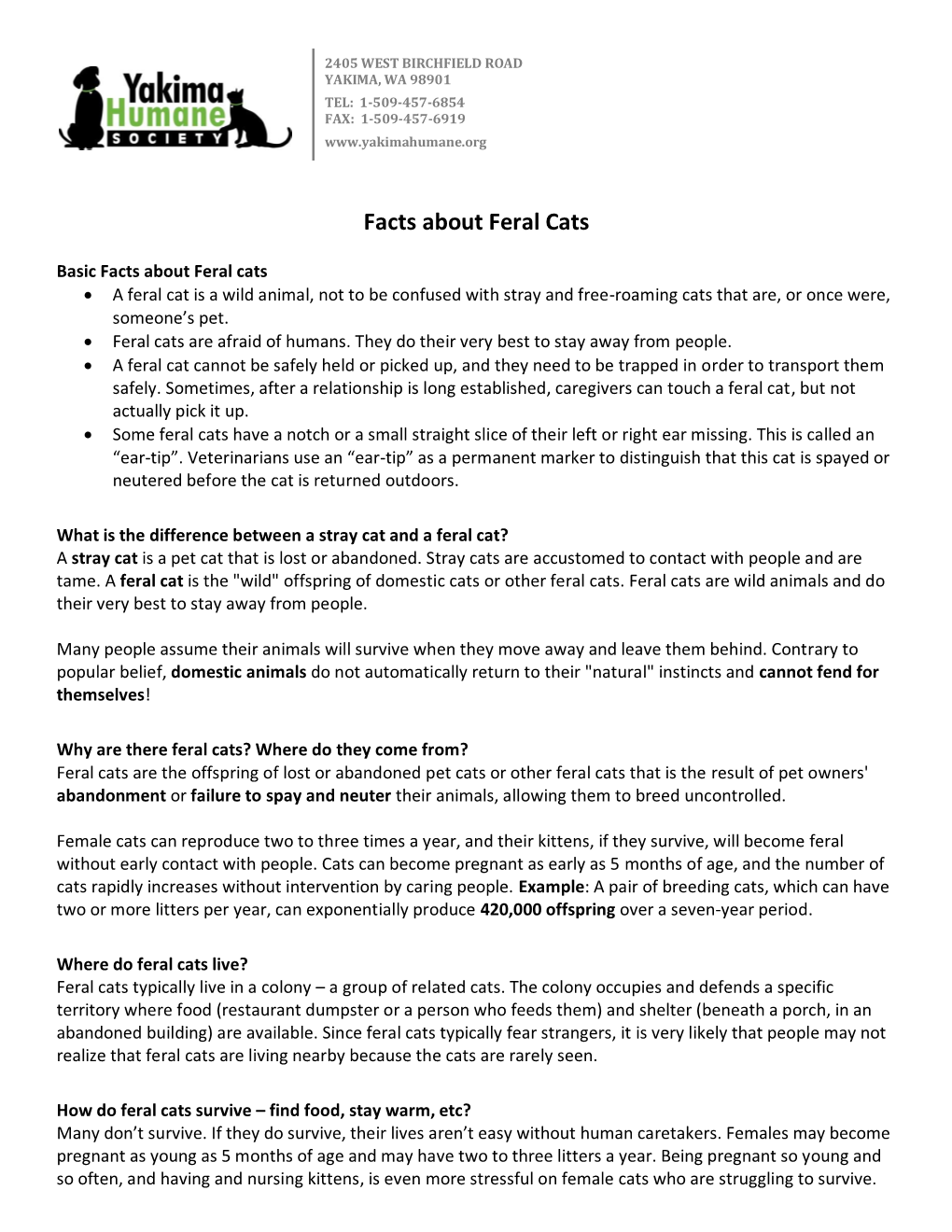 Facts About Feral Cats