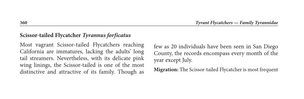 Flycatcher, Scissor-Tailed