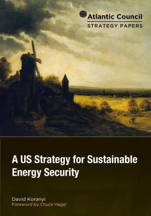 A US Strategy for Sustainable Energy Security