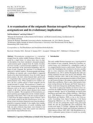 A Re-Examination of the Enigmatic Russian Tetrapod Phreatophasma Aenigmaticum and Its Evolutionary Implications