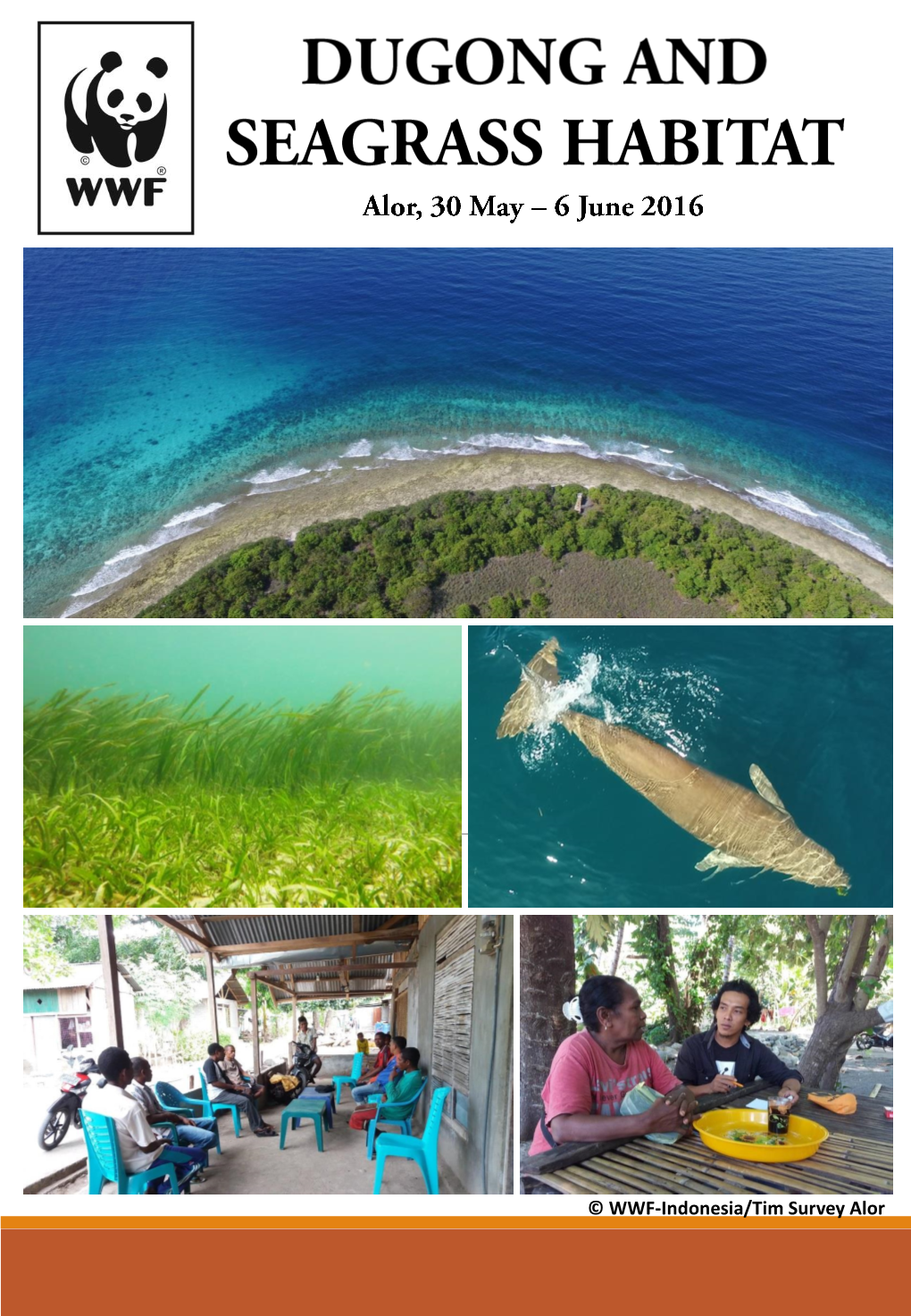 [DUGONG and SEAGRASS HABITAT] Alor 2016