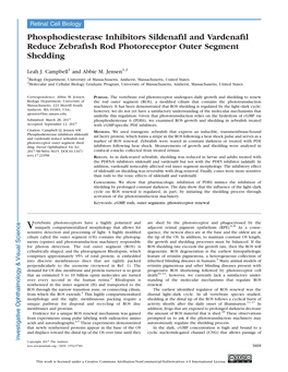 Phosphodiesterase Inhibitors Sildenafil and Vardenafil Reduce Zebrafish Rod Photoreceptor Outer Segment Shedding