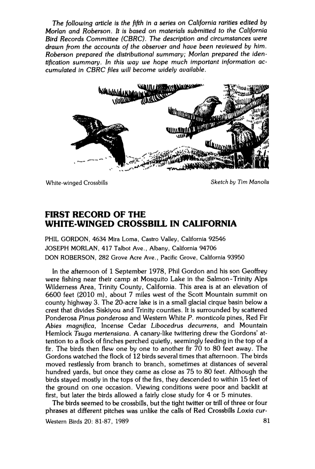 First Record of the White-Winged Crossbill in California