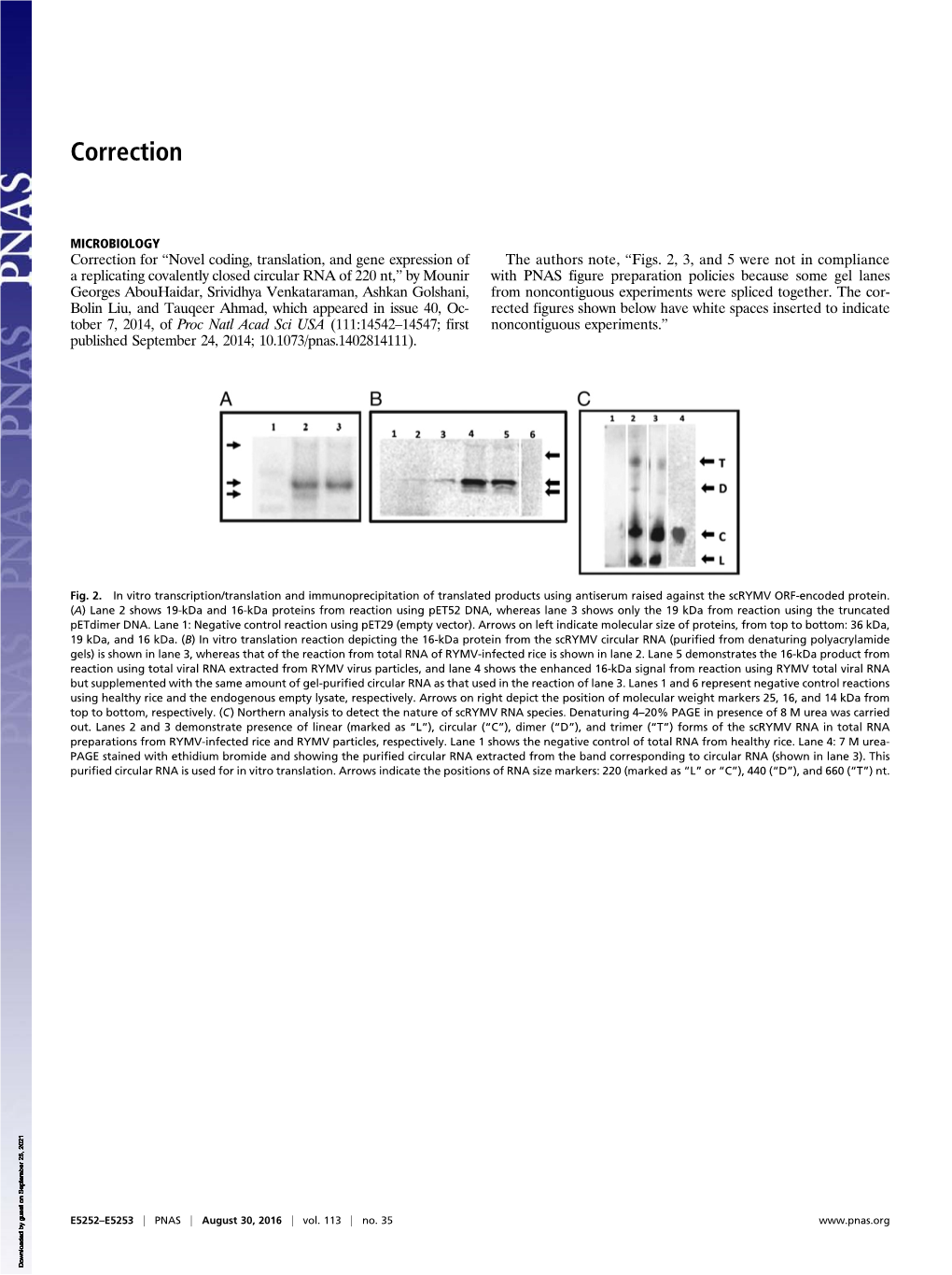 Novel Coding, Translation, and Gene Expression of a Replicating Covalently Closed Circular RNA of 220 Nt