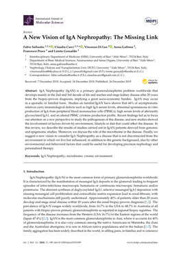 A New Vision of Iga Nephropathy: the Missing Link