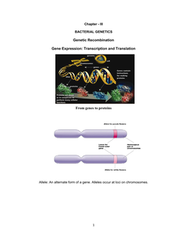 Genetic Recombination Gene Expression: Transcription And