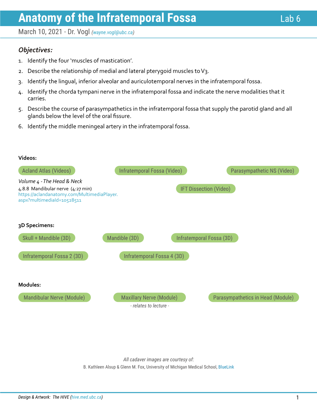 Infratemporal Fossa Lab 6 March 10, 2021 - Dr