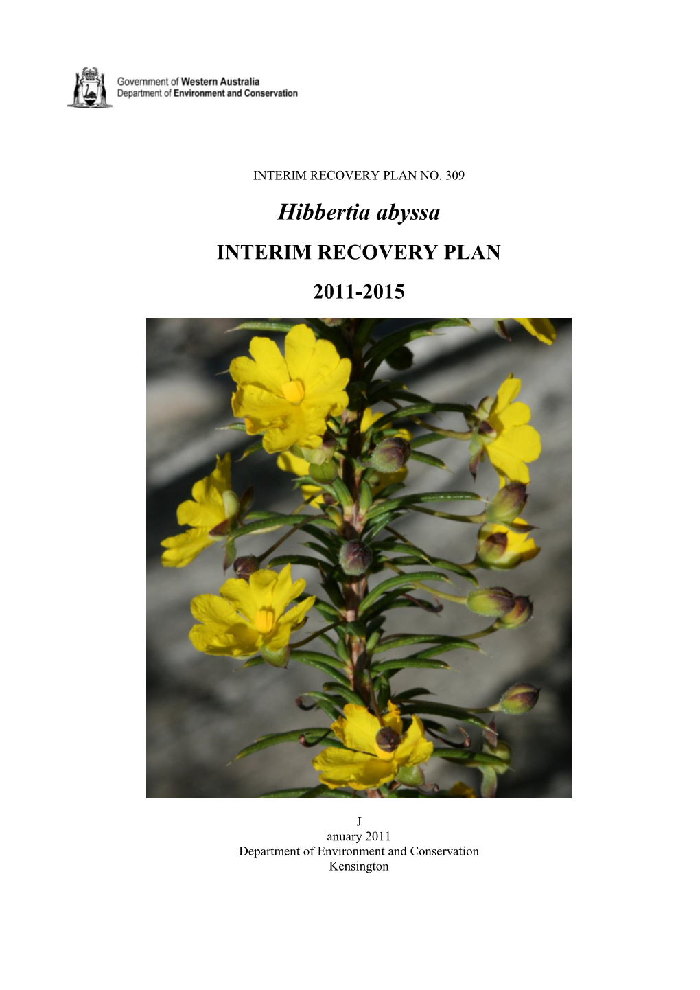 Hibbertia Abyssa Interim Recovery Plan No