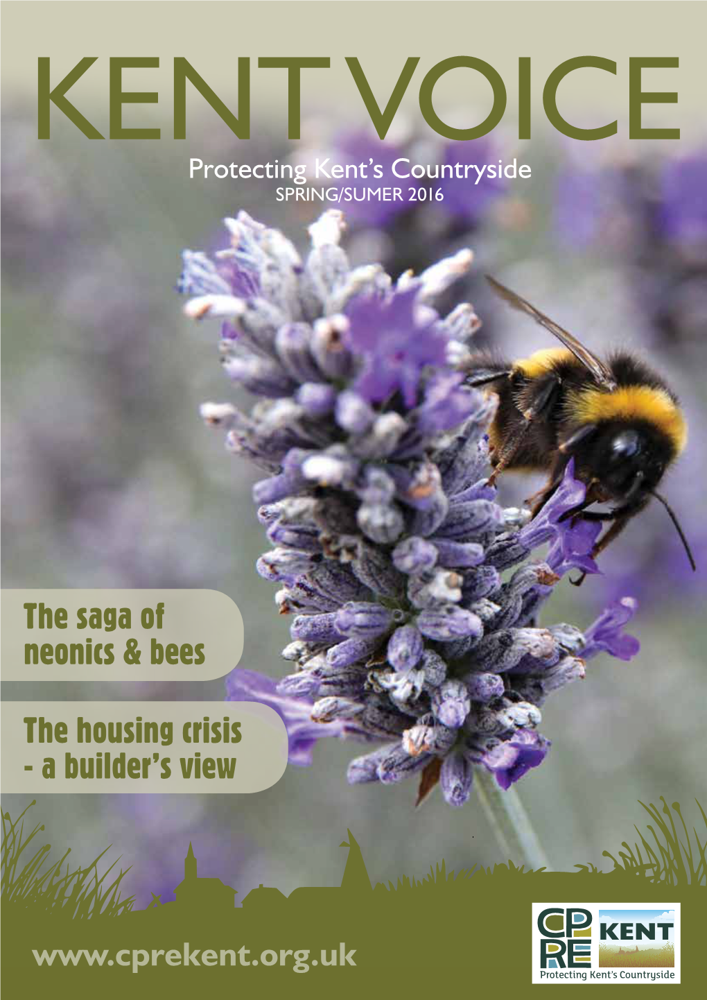The Saga of Neonics & Bees the Housing Crisis