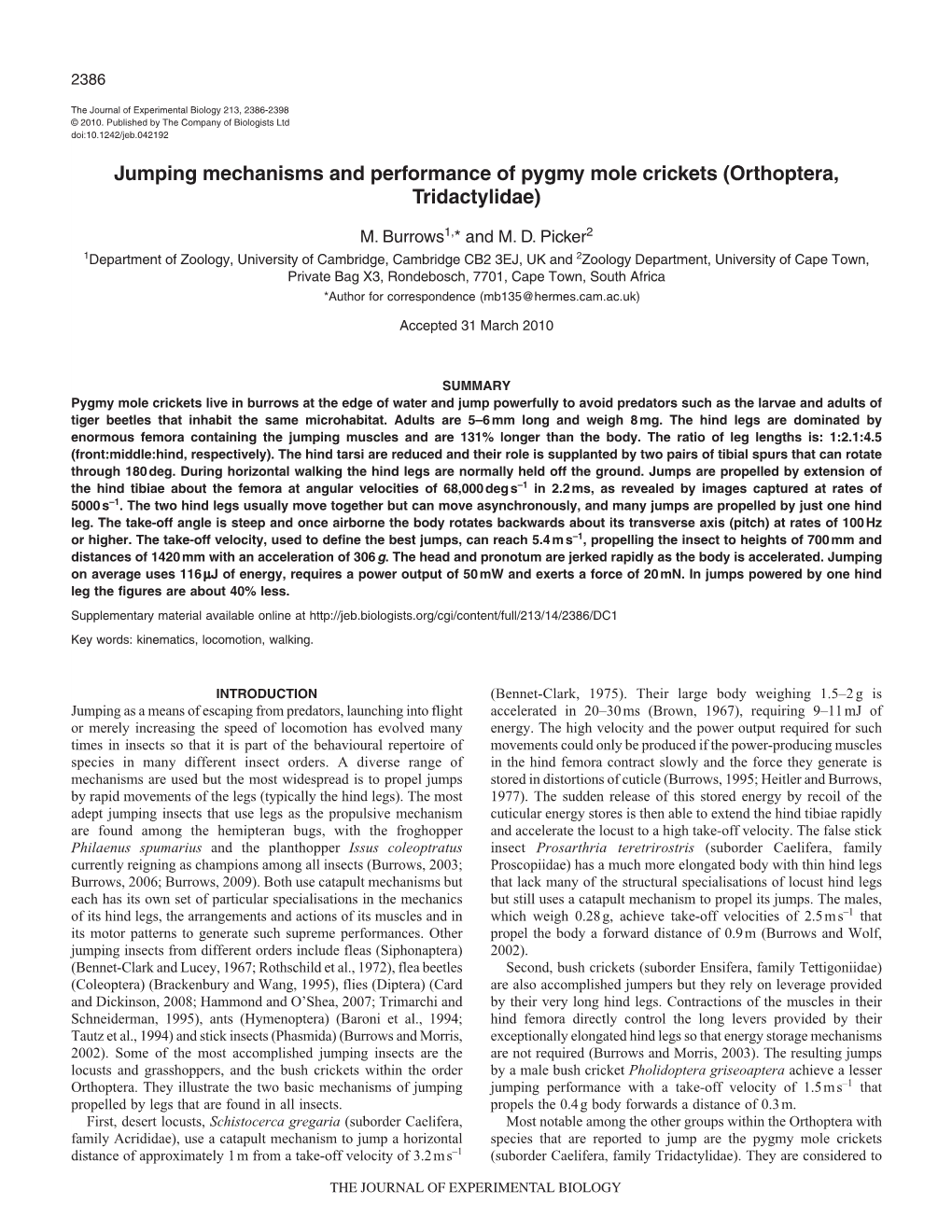 Jumping Mechanisms and Performance of Pygmy Mole Crickets (Orthoptera, Tridactylidae)