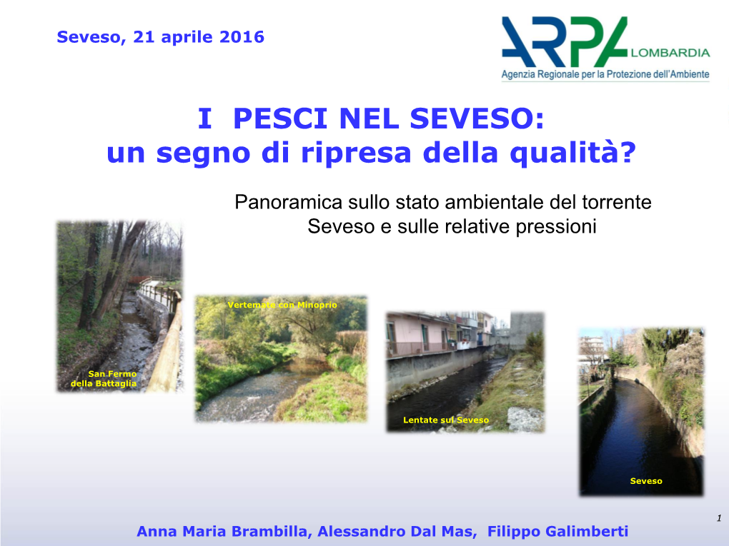 I PESCI NEL SEVESO: Un Segno Di Ripresa Della Qualità?