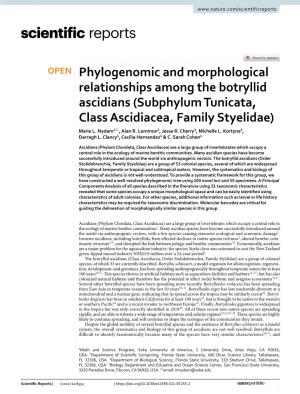 Phylogenomic and Morphological Relationships Among the Botryllid Ascidians (Subphylum Tunicata, Class Ascidiacea, Family Styelidae) Marie L