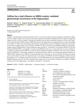 Caffeine Has a Dual Influence on NMDA Receptor–Mediated Glutamatergic Transmission at the Hippocampus