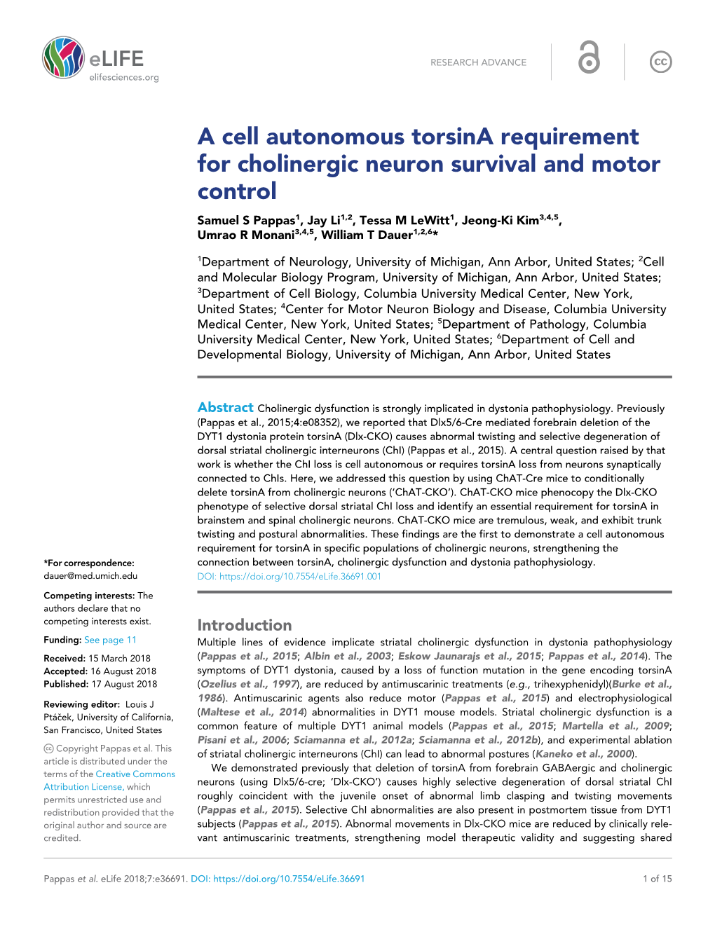 A Cell Autonomous Torsina Requirement for Cholinergic Neuron