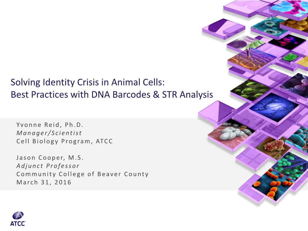 Solving Identity Crisis in Animal Cells: Best Practices with DNA Barcodes & STR Analysis