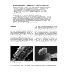 Exudate Flavonoids of Eight Species of Ceanothus (Rhamnaceae) Eckhard Wollenwebera,*, Marion Dörra, Bruce A