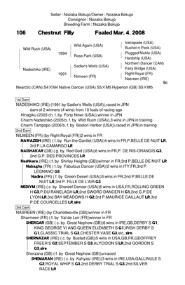 106 Chestnut Filly Foaled Mar. 4, 2008