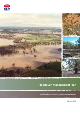 Lachlan River Jemalong Gap to Condobolin Floodplain Management Plan