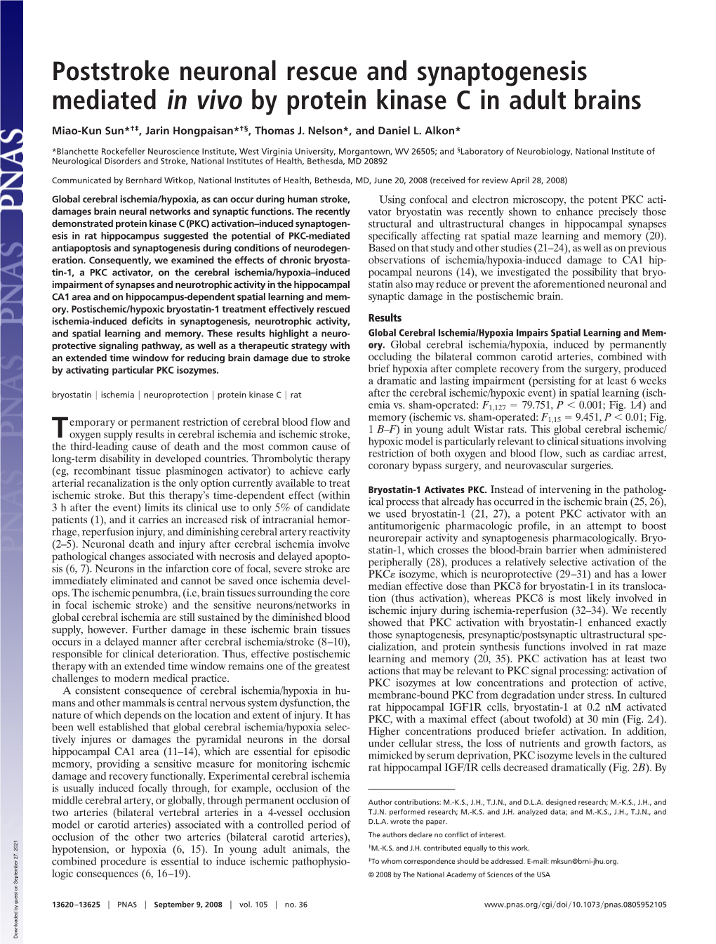 Poststroke Neuronal Rescue and Synaptogenesis Mediated in Vivo by Protein Kinase C in Adult Brains