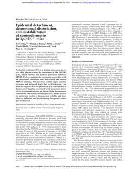 Epidermal Detachment, Desmosomal Dissociation, and Destabilization of Corneodesmosin in Spink5-/- Mice