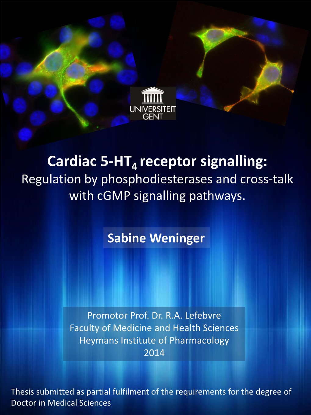 Cardiac 5-HT Receptor Signalling