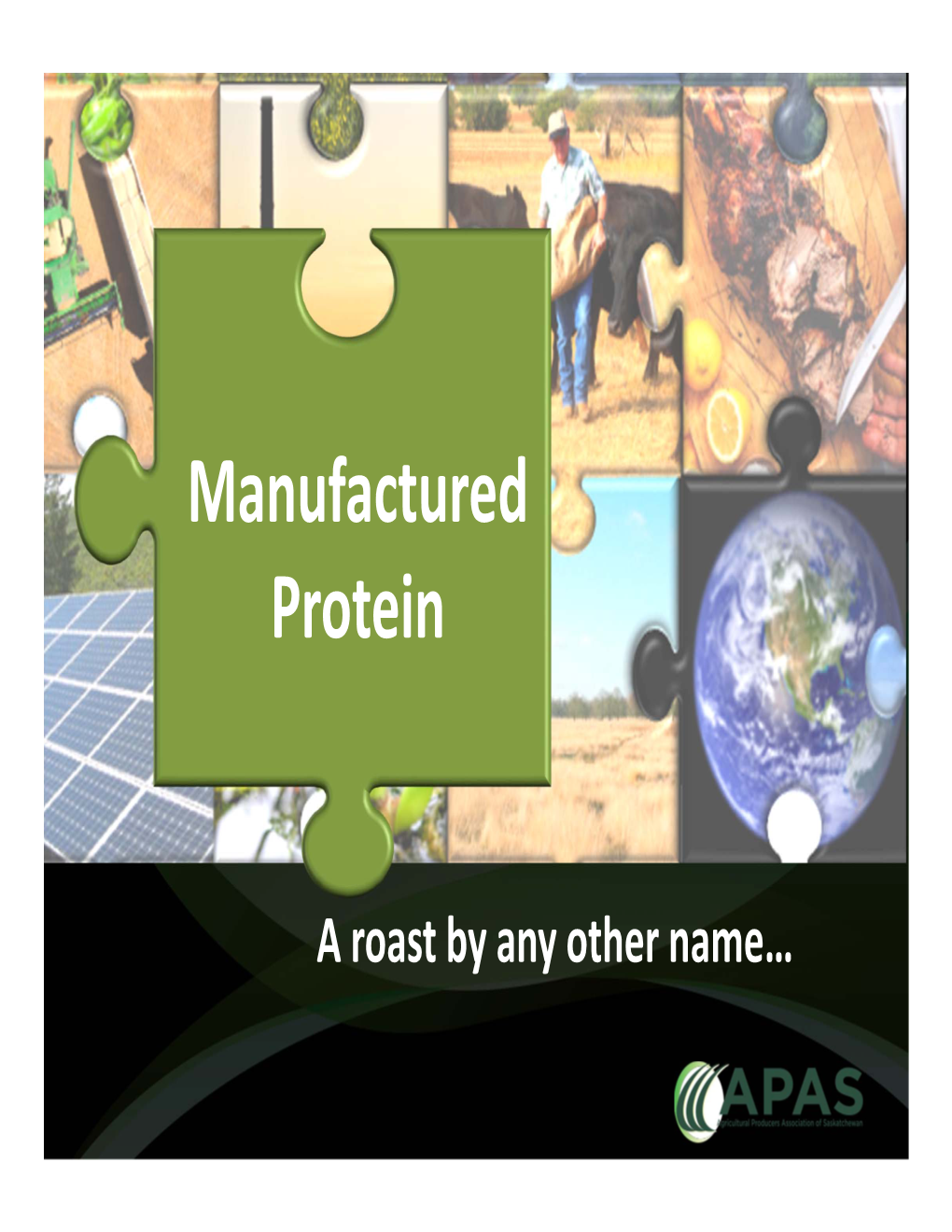 Manufactured Protein