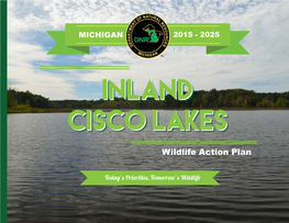 Inland Cisco Lakes?