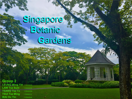 Singapore Botanic Gardens-Group 2