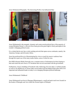 Jawar Mohammed Biography: the Interesting Profile of an Influential Man