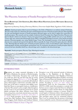 Research Article the Placenta Anatomy of Sunda Porcupine (Hystrix Javanica)