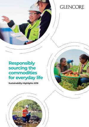Responsibly Sourcing the Commodities for Everyday Life Sustainability Highlights 2018 Key Highlights