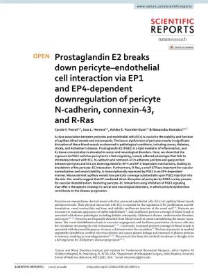 Prostaglandin E2 Breaks Down Pericyte–Endothelial Cell Interaction Via EP1 and EP4-Dependent Downregulation of Pericyte N-Cadh